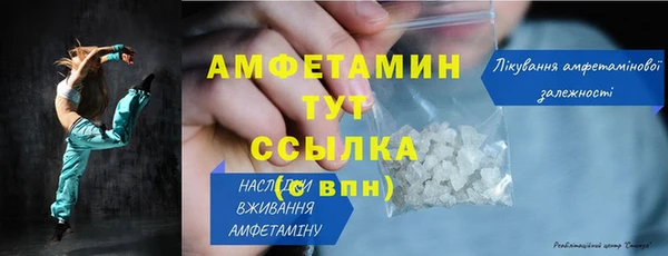 шишки Дмитровск