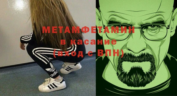 шишки Дмитровск