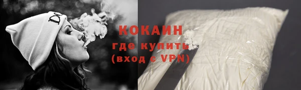 шишки Дмитровск