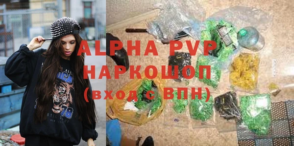 шишки Дмитровск