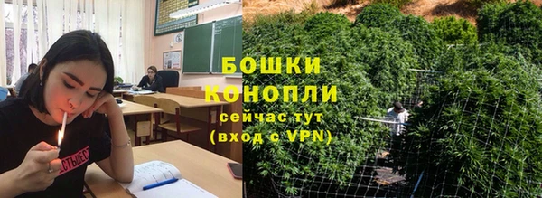 шишки Дмитровск