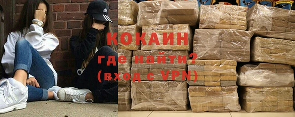 шишки Дмитровск