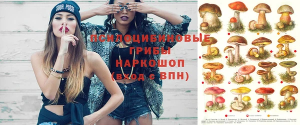 jwh Дмитров