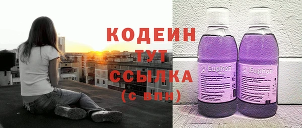 шишки Дмитровск