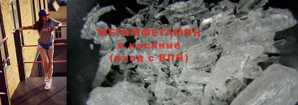 шишки Дмитровск