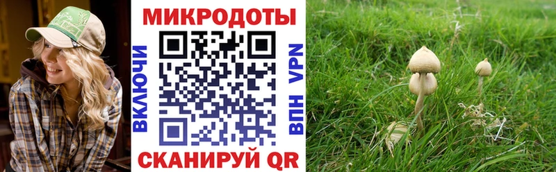 Галлюциногенные грибы Psilocybine cubensis  где купить   блэк спрут маркетплейс  Вологда 