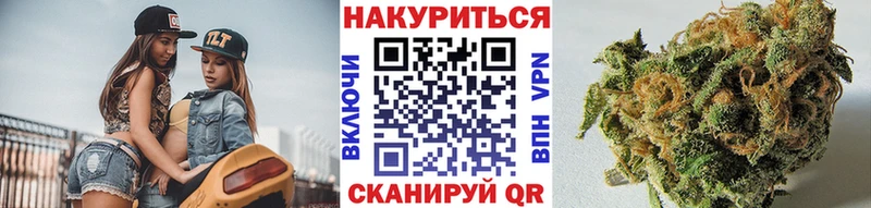 Бошки Шишки White Widow  закладки  гидра ССЫЛКА  Вологда 